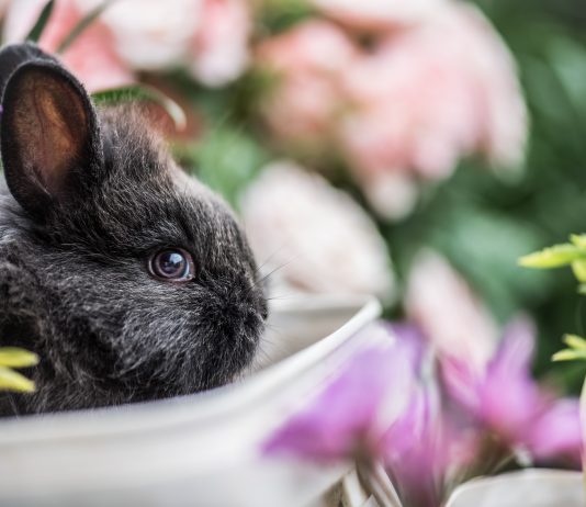 Entdecke neues Themenspecial mit Verlosungen auf BILD.de